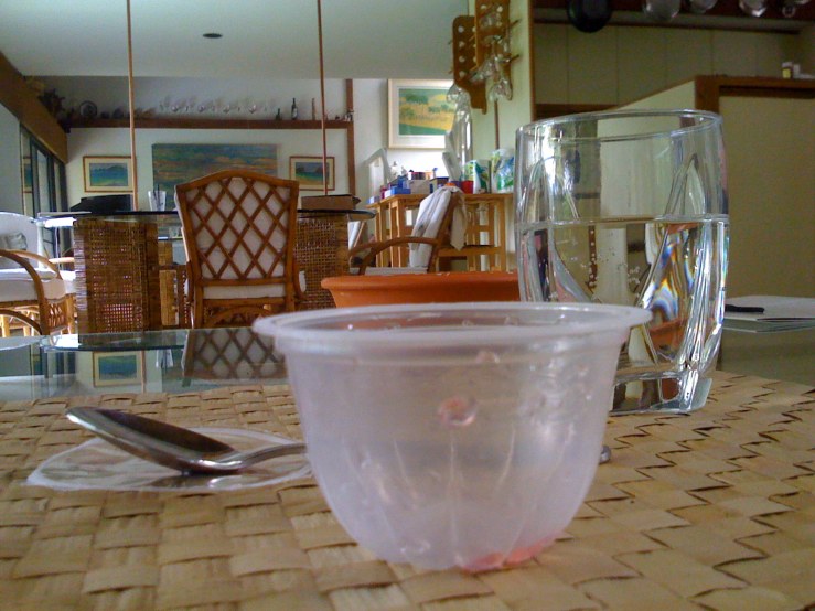 fruit cups don't last long in this house