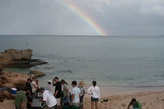 set photos from HIFF trailer shoot starring Jason Scott Lee and Kelly Hu